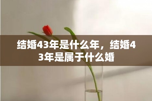 结婚43年是什么年，结婚43年是属于什么婚