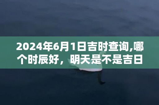 2024年6月1日吉时查询,哪个时辰好，明天是不是吉日