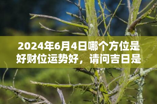 2024年6月4日哪个方位是好财位运势好，请问吉日是哪天