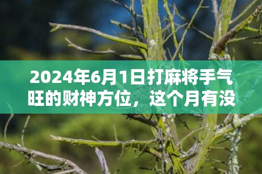 2024年6月1日打麻将手气旺的财神方位，这个月有没有黄道吉日