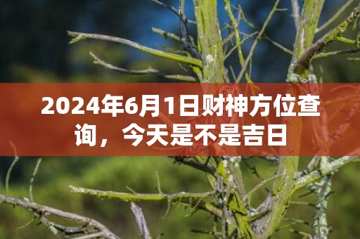 2024年6月1日财神方位查询，今天是不是吉日