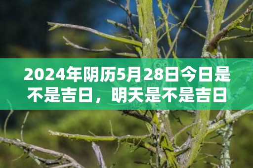 2024年阴历5月28日今日是不是吉日，明天是不是吉日