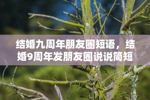 结婚九周年朋友圈短语，结婚9周年发朋友圈说说简短