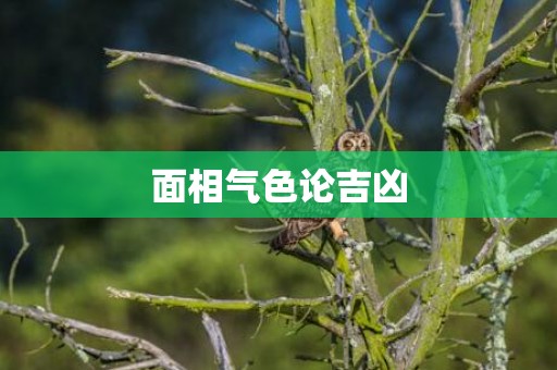 面相气色论吉凶