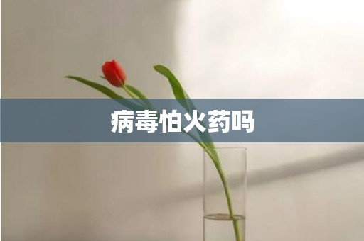 病毒怕火药吗