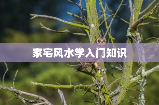 家宅风水学入门知识