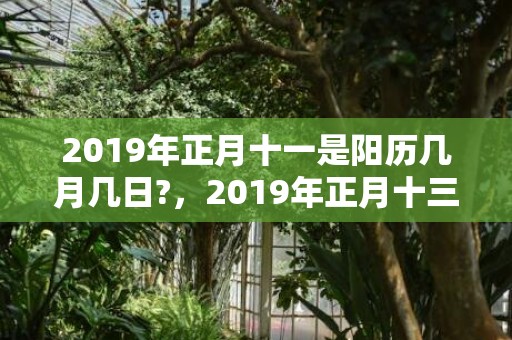 2019年正月十一是阳历几月几日?，2019年正月十三出生的女孩五行缺水的名字推荐大全