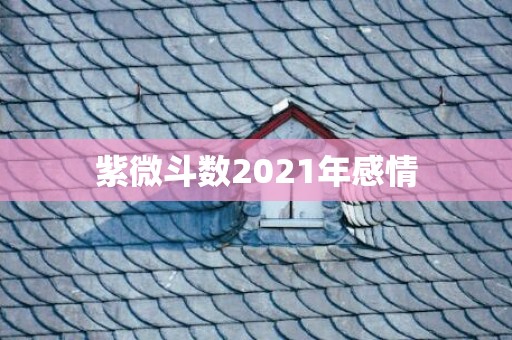 紫微斗数2021年感情