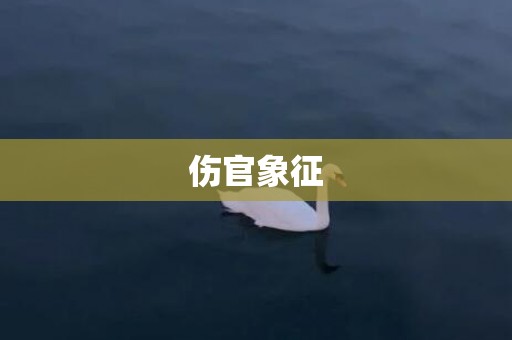 伤官象征