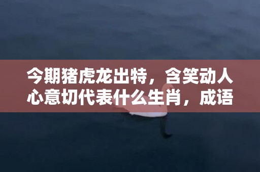 今期猪虎龙出特，含笑动人心意切代表什么生肖，成语解释落实