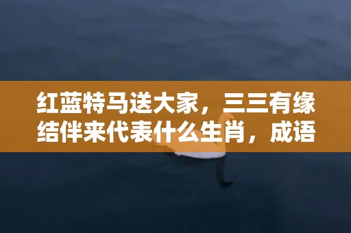 红蓝特马送大家，三三有缘结伴来代表什么生肖，成语解释落实