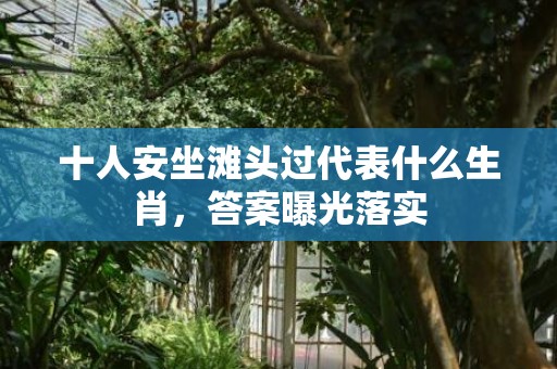 十人安坐滩头过代表什么生肖，答案曝光落实