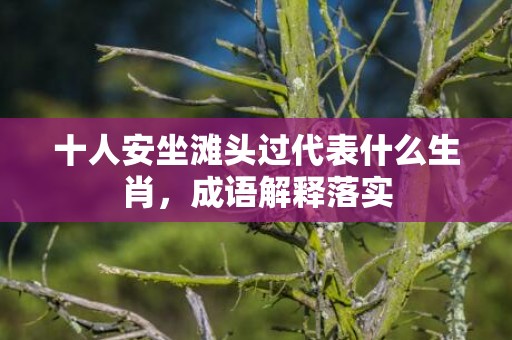 十人安坐滩头过代表什么生肖，成语解释落实