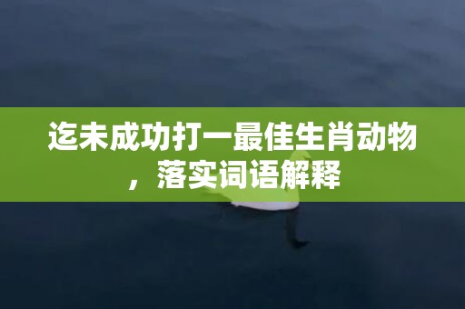 迄未成功打一最佳生肖动物，落实词语解释