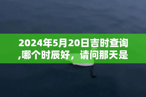 2024年5月20日吉时查询,哪个时辰好，请问那天是黄道吉日