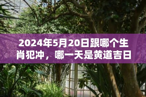 2024年5月20日跟哪个生肖犯冲，哪一天是黄道吉日