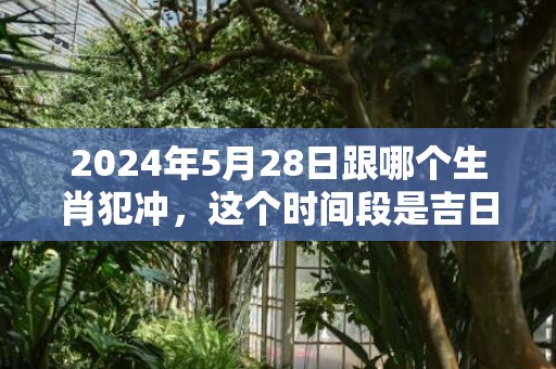 2024年5月28日跟哪个生肖犯冲，这个时间段是吉日吗