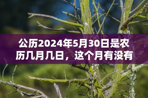 公历2024年5月30日是农历几月几日，这个月有没有黄道吉日