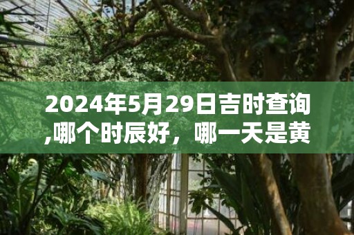 2024年5月29日吉时查询,哪个时辰好，哪一天是黄道吉日