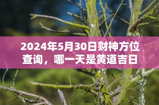 2024年5月30日财神方位查询，哪一天是黄道吉日