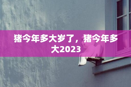 猪今年多大岁了，猪今年多大2023