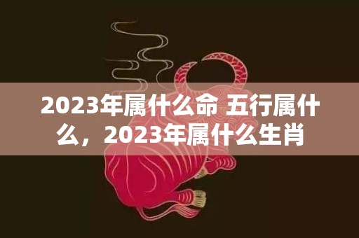 2023年属什么命 五行属什么，2023年属什么生肖