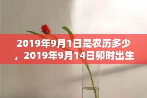 2019年9月1日是农历多少，2019年9月14日卯时出生的男孩取名字的重要方法