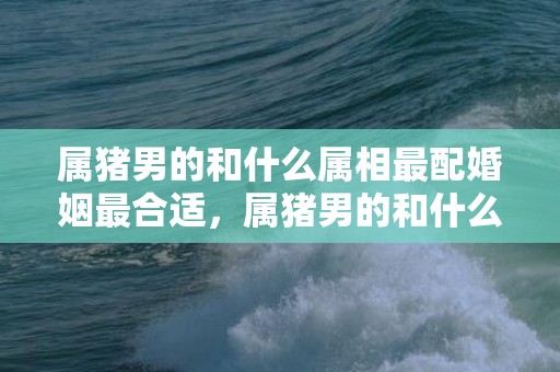 属猪男的和什么属相最配婚姻最合适，属猪男的和什么属相最配婚