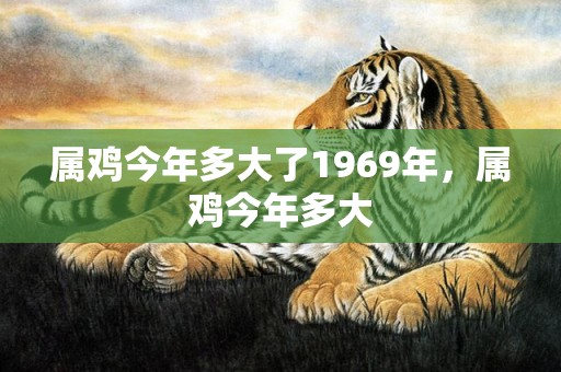 属鸡今年多大了1969年，属鸡今年多大