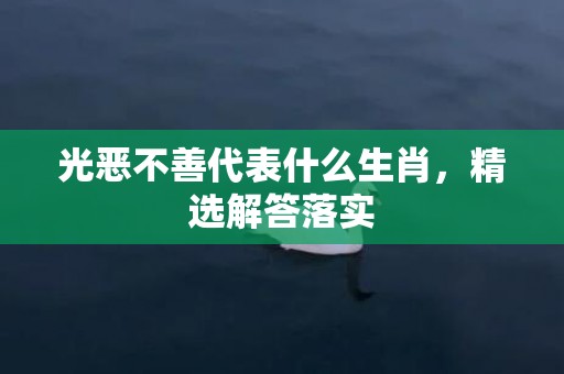 光恶不善代表什么生肖，精选解答落实