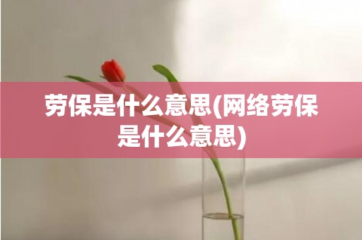 劳保是什么意思(网络劳保是什么意思)