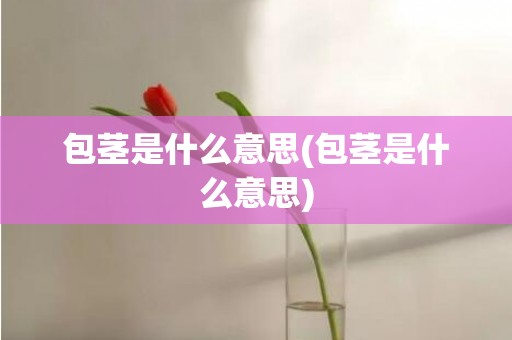 包茎是什么意思(包茎是什么意思)