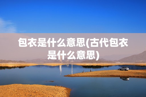 包衣是什么意思(古代包衣是什么意思)