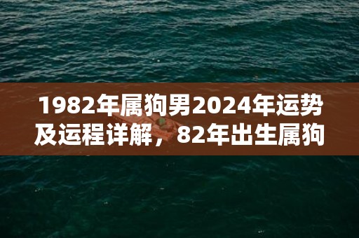 1982年属狗男2024年运势及运程详解，82年出生属狗人2024全年每月运势男性，1982年属狗男2024年运势及运程详解，82年出生属狗人2024全年每月运势男性