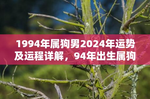 1994年属狗男2024年运势及运程详解，94年出生属狗人2024全年每月运势男性，1994年属狗男2024年运势及运程详解，94年出生属狗人2024全年每月运势男性