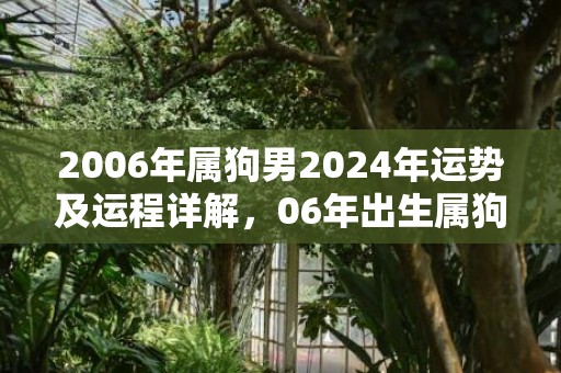 2006年属狗男2024年运势及运程详解，06年出生属狗人2024全年每月运势男性，2006年属狗男2024年运势及运程详解，06年出生属狗人2024全年每月运势男性