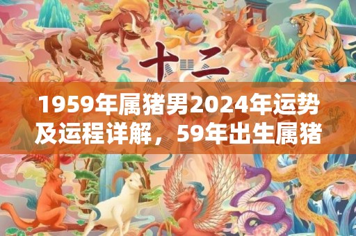 1959年属猪男2024年运势及运程详解，59年出生属猪人2024全年每月运势男性，1959年属猪男2024年运势及运程详解，59年出生属猪人2024全年每月运势男性