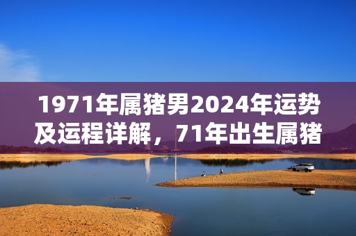 1971年属猪男2024年运势及运程详解，71年出生属猪人2024全年每月运势男性，1971年属猪男2024年运势及运程详解，71年出生属猪人2024全年每月运势男性