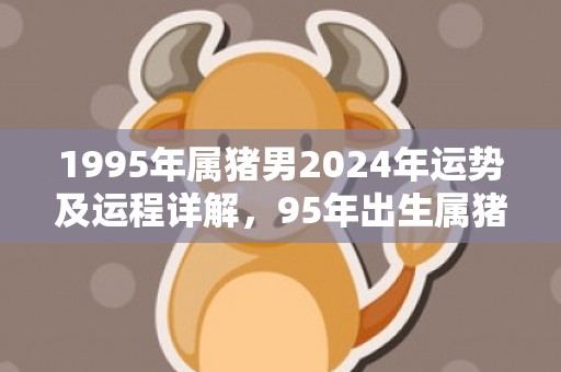 1995年属猪男2024年运势及运程详解，95年出生属猪人2024全年每月运势男性，1995年属猪男2024年运势及运程详解，95年出生属猪人2024全年每月运势男性