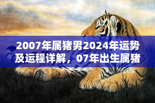 2007年属猪男2024年运势及运程详解，07年出生属猪人2024全年每月运势男性，2007年属猪男2024年运势及运程详解，07年出生属猪人2024全年每月运势男性