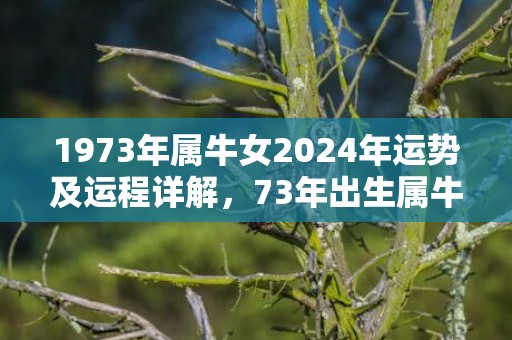 1973年属牛女2024年运势及运程详解，73年出生属牛人2024全年每月运势女性，1973年属牛女2024年运势及运程详解，73年出生属牛人2024全年每月运势女性