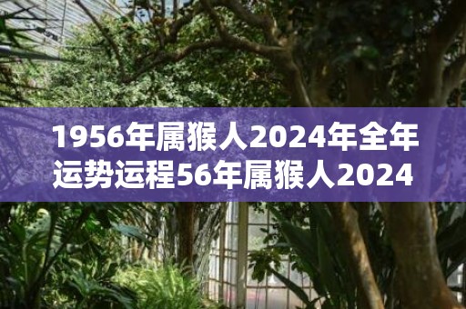 1956年属猴人2024年全年运势运程56年属猴人2024年每月运势详解，1956年属猴人2024年全年运势运程56年属猴人2024年每月运势详解