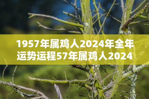 1957年属鸡人2024年全年运势运程57年属鸡人2024年每月运势详解，1957年属鸡人2024年全年运势运程57年属鸡人2024年每月运势详解