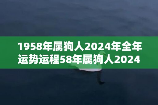 1958年属狗人2024年全年运势运程58年属狗人2024年每月运势详解，1958年属狗人2024年全年运势运程58年属狗人2024年每月运势详解