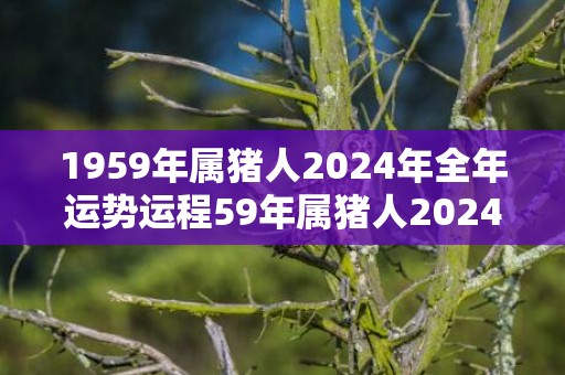 1959年属猪人2024年全年运势运程59年属猪人2024年每月运势详解，1959年属猪人2024年全年运势运程59年属猪人2024年每月运势详解