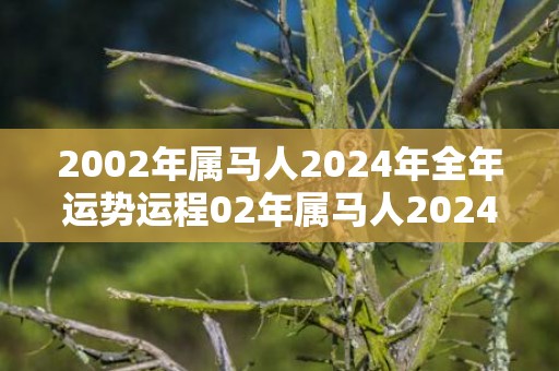 2002年属马人2024年全年运势运程02年属马人2024年每月运势详解，2002年属马人2024年全年运势运程02年属马人2024年每月运势详解