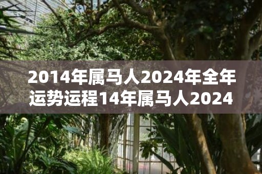 2014年属马人2024年全年运势运程14年属马人2024年每月运势详解，2014年属马人2024年全年运势运程14年属马人2024年每月运势详解