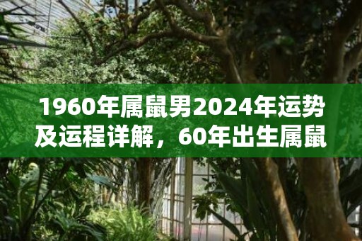 1960年属鼠男2024年运势及运程详解，60年出生属鼠人2024全年每月运势男性，1960年属鼠男2024年运势及运程详解，60年出生属鼠人2024全年每月运势男性