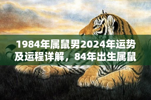 1984年属鼠男2024年运势及运程详解，84年出生属鼠人2024全年每月运势男性，1984年属鼠男2024年运势及运程详解，84年出生属鼠人2024全年每月运势男性