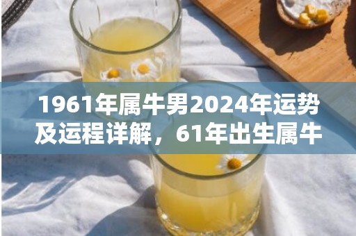 1961年属牛男2024年运势及运程详解，61年出生属牛人2024全年每月运势男性，1961年属牛男2024年运势及运程详解，61年出生属牛人2024全年每月运势男性